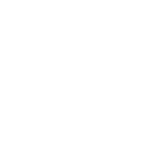 Data Migration & Implementation Support